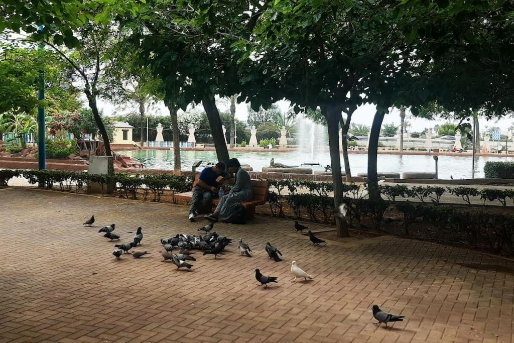Adventure Harbour Apartment ตอร์เรเวียคา ภายนอก รูปภาพ