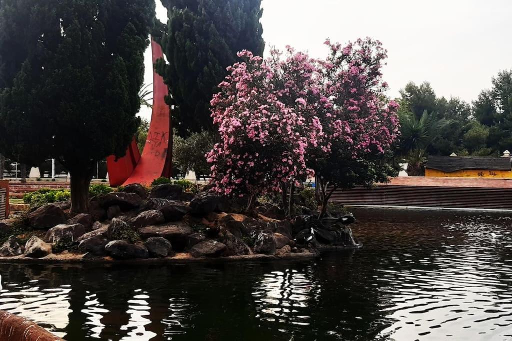Adventure Harbour Apartment ตอร์เรเวียคา ภายนอก รูปภาพ