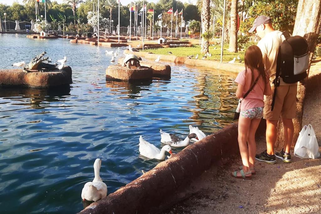 Adventure Harbour Apartment ตอร์เรเวียคา ภายนอก รูปภาพ