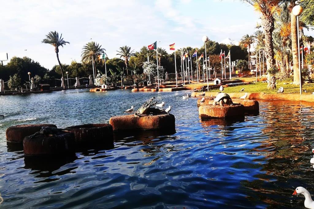 Adventure Harbour Apartment ตอร์เรเวียคา ภายนอก รูปภาพ
